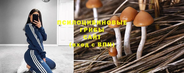 каннабис Верея