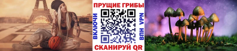 сайты даркнета как зайти  Кимовск  Псилоцибиновые грибы мухоморы 
